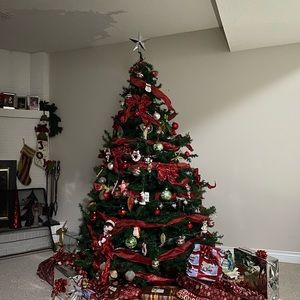 Meet your Posher, Carmen